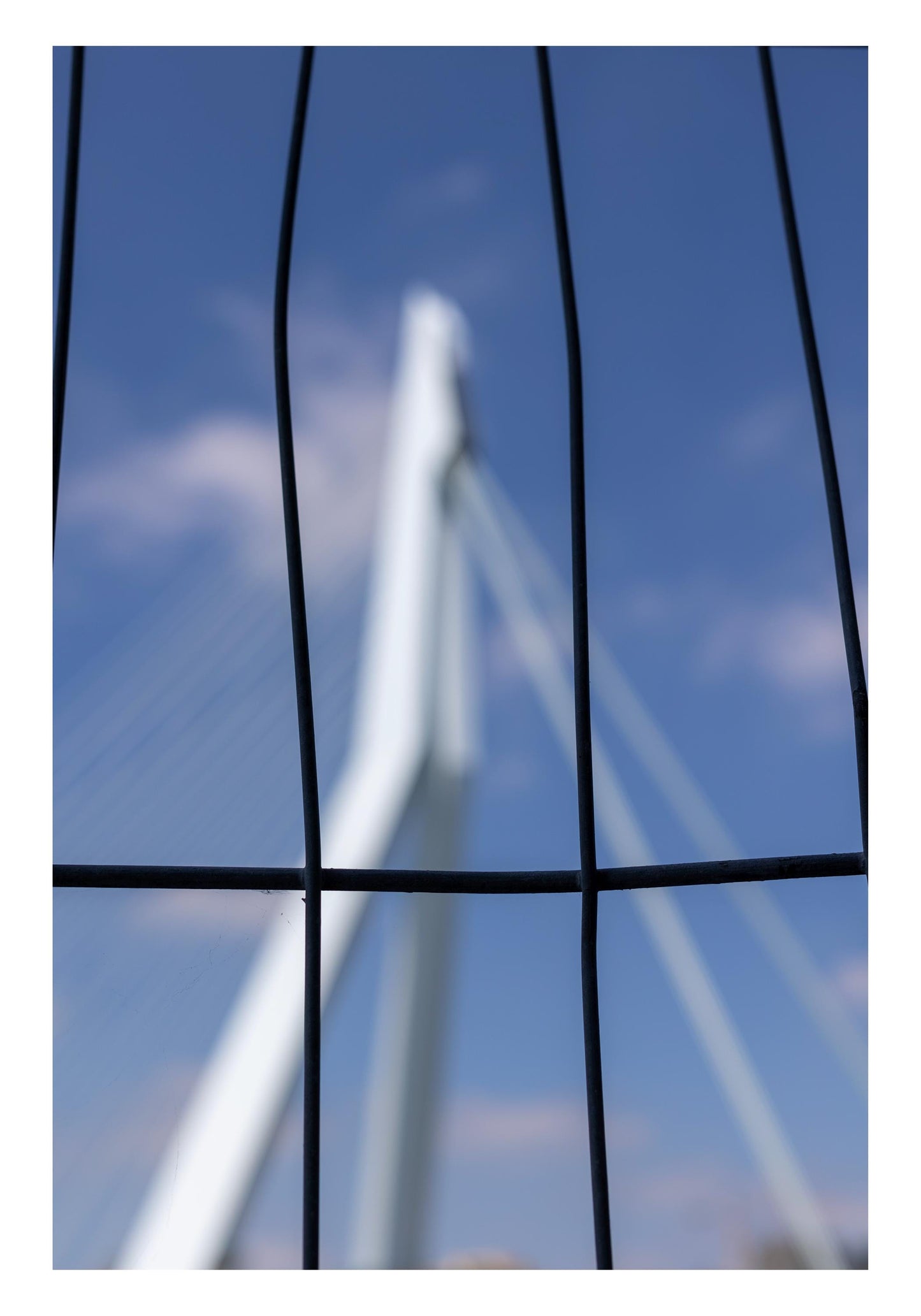 Artprint 'Rotterdam Out of Focus | Erasmusbrug''